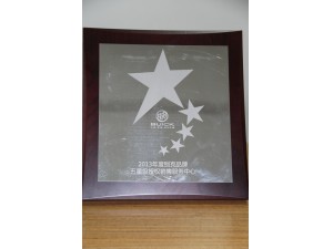2013年度別克銷(xiāo)售5星（牌）